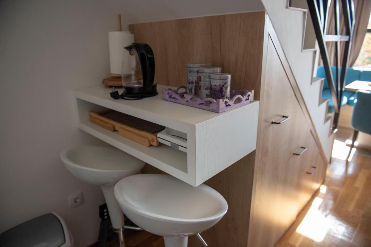 Apartman Andjela 科帕奥尼克 外观 照片