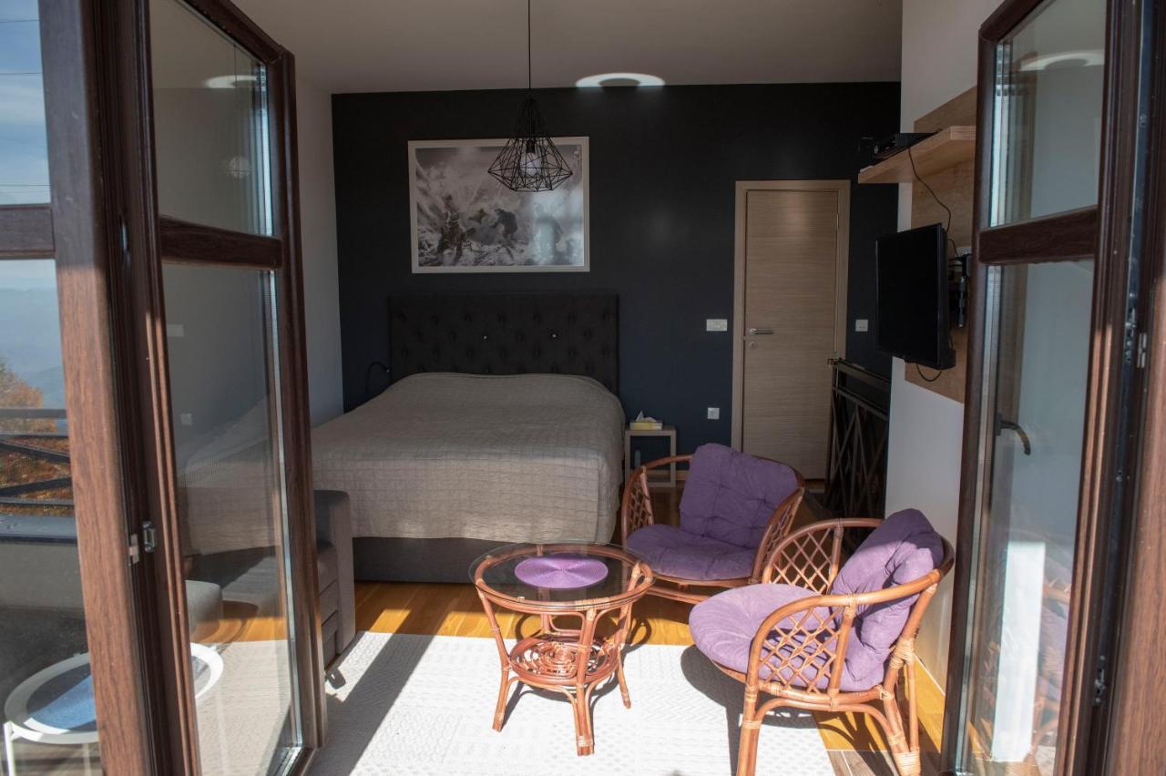 Apartman Andjela 科帕奥尼克 外观 照片