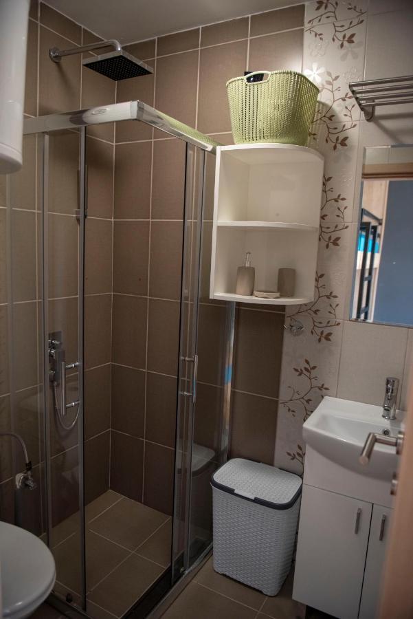 Apartman Andjela 科帕奥尼克 外观 照片