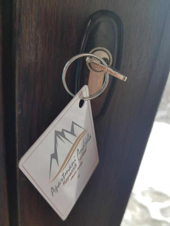 Apartman Andjela 科帕奥尼克 外观 照片