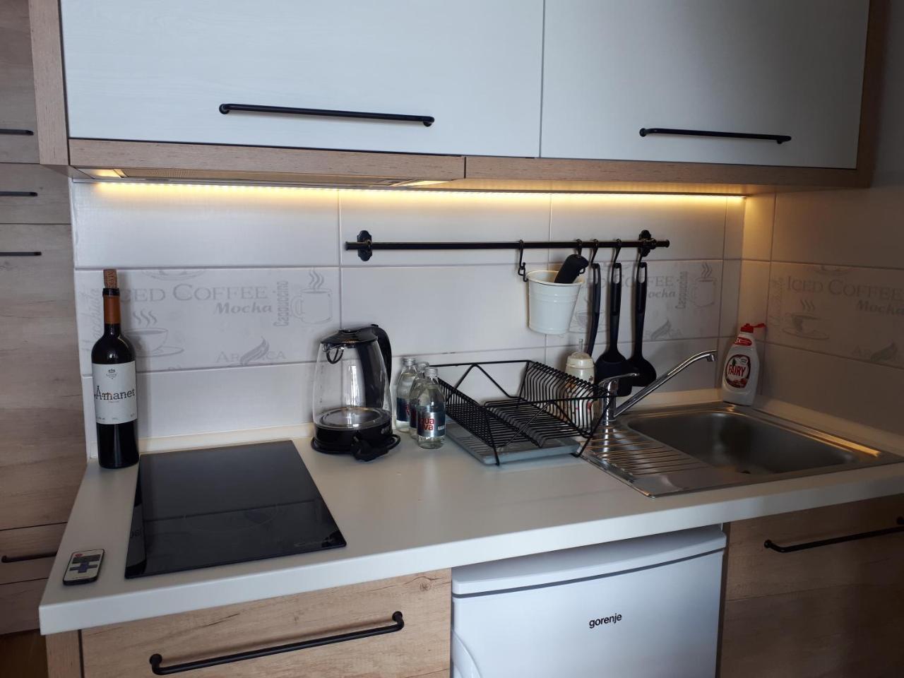Apartman Andjela 科帕奥尼克 外观 照片
