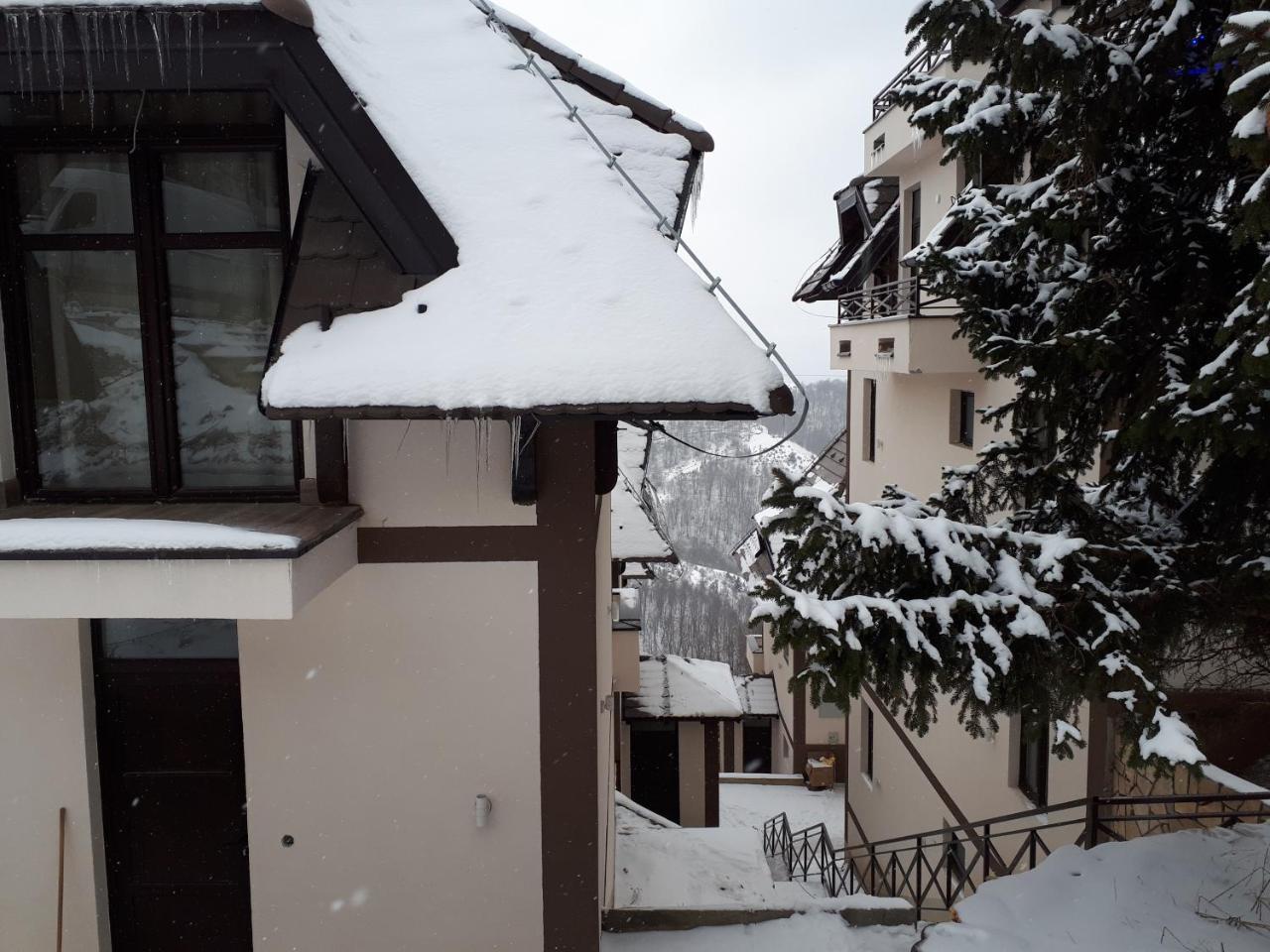 Apartman Andjela 科帕奥尼克 外观 照片