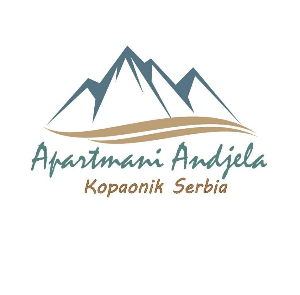 Apartman Andjela 科帕奥尼克 外观 照片