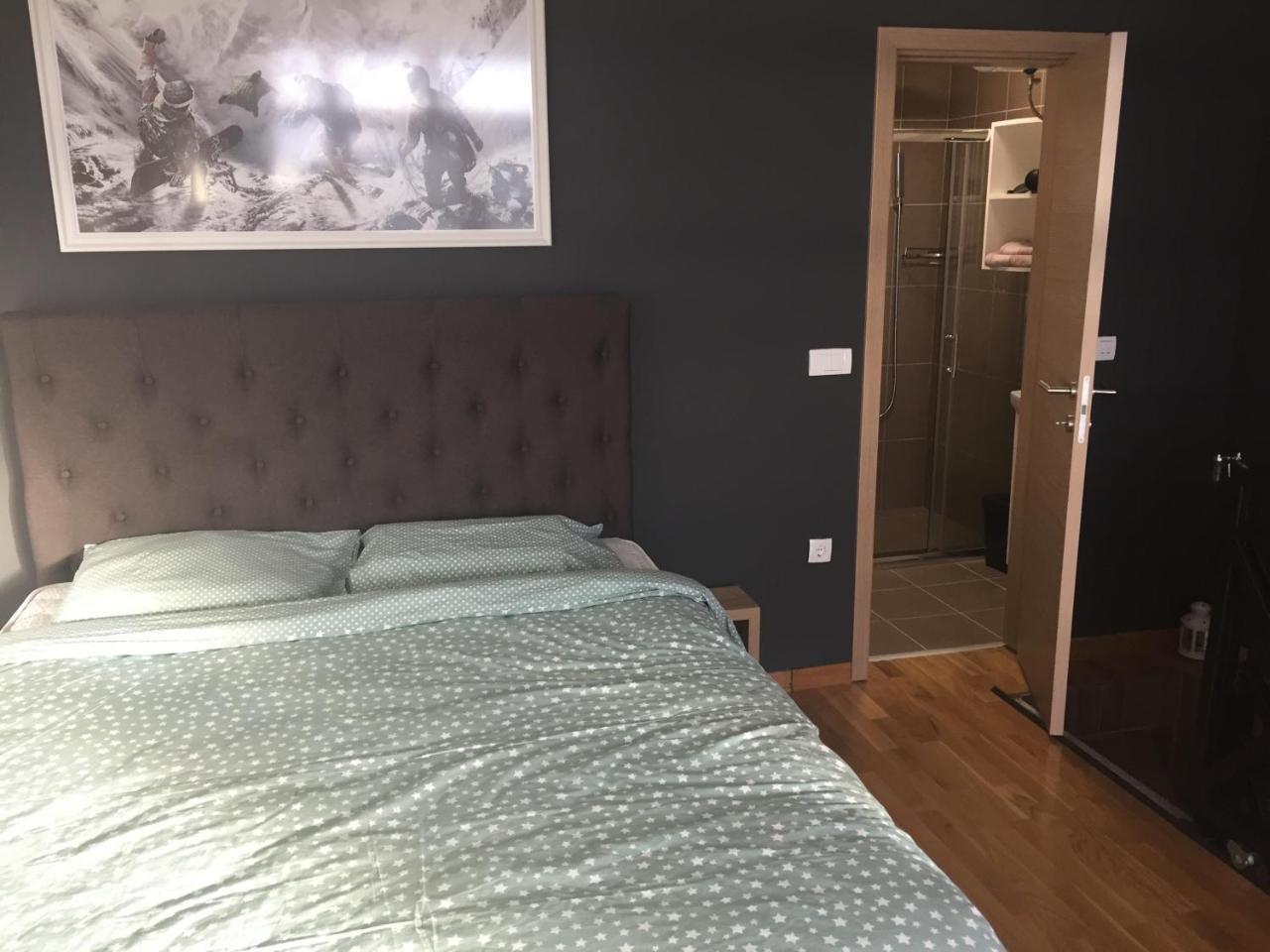 Apartman Andjela 科帕奥尼克 外观 照片