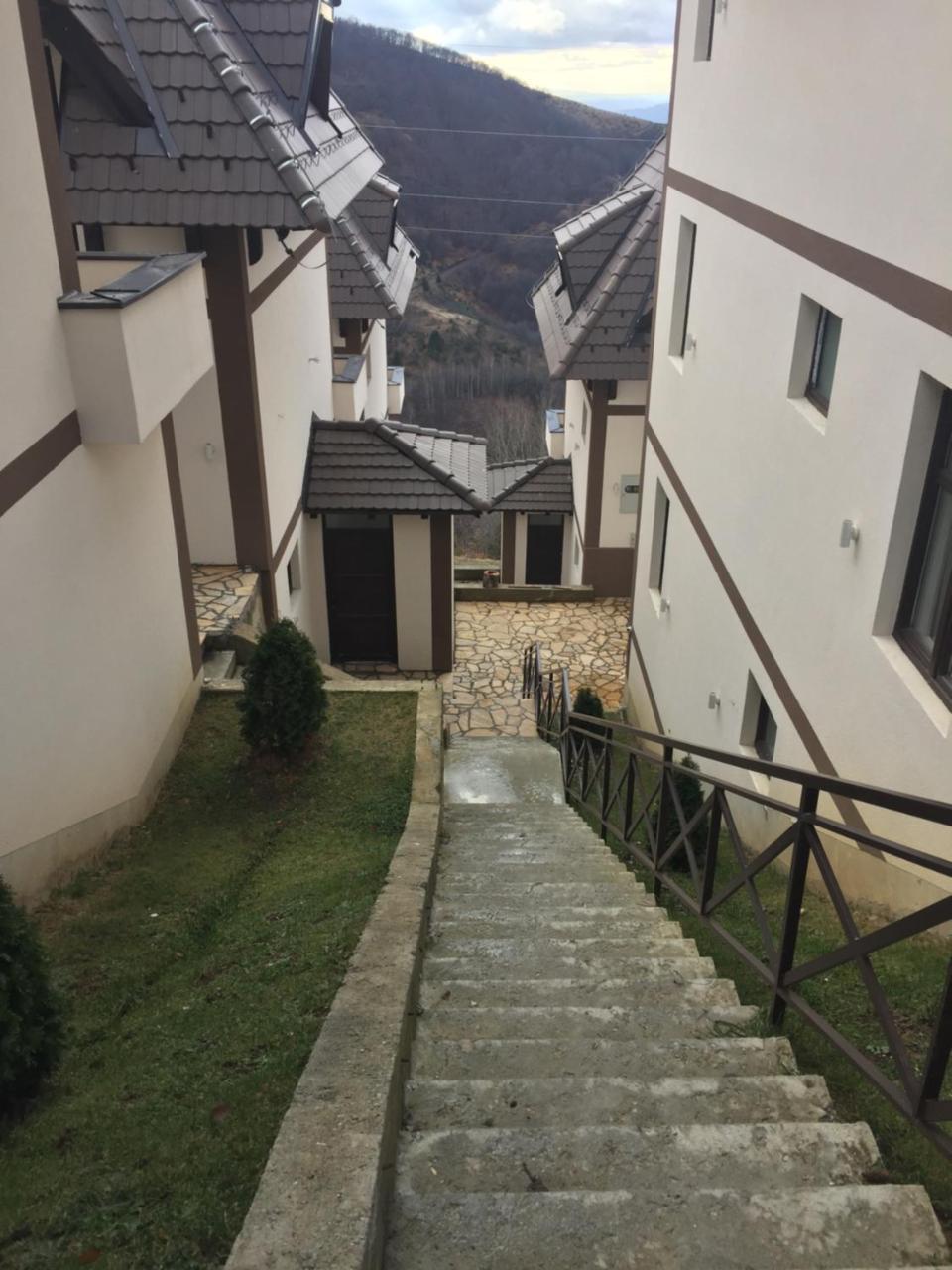 Apartman Andjela 科帕奥尼克 外观 照片