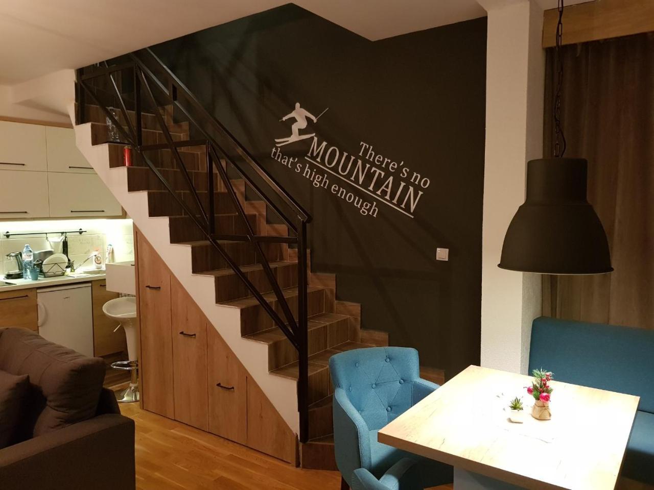Apartman Andjela 科帕奥尼克 外观 照片
