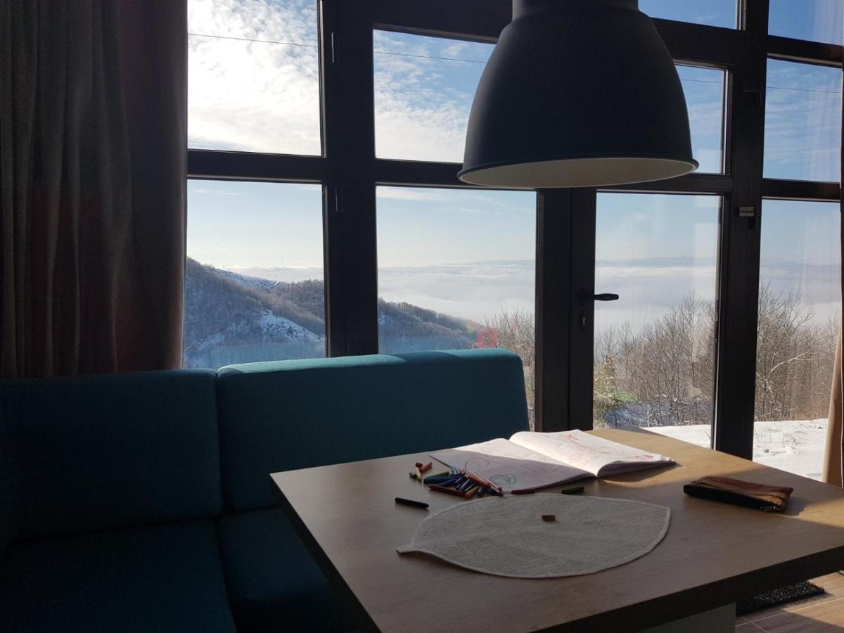 Apartman Andjela 科帕奥尼克 外观 照片